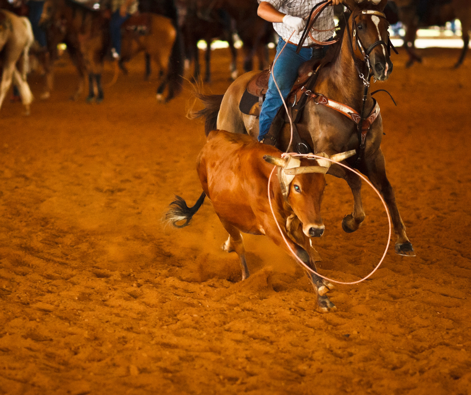 13th Annual Ranch Rodeo at the Donalda & District Agricultural Society Equestrian Centre Saturday, December 16 beginning at 11a.m. Ranch Rodeo is a traditional type of rodeo in which teams of 4 cowboys and/or cowgirls from different ranches compete in events based on the type of work they do everyday. The events are similar to the tasks commonly performed on a ranch. The equipment and tack used are the same used in everyday ranch work. They compete as a team representing the ranch they work for, for fun, prizes and bragging rights.