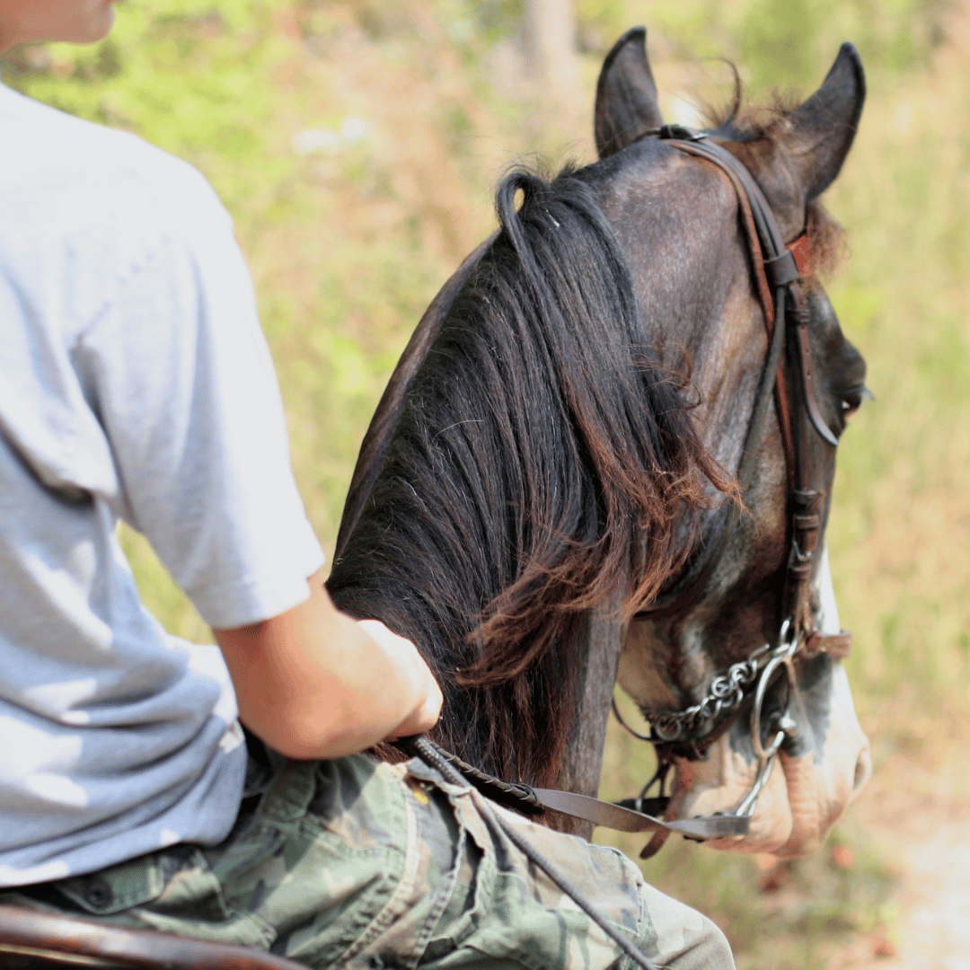 Trail riding on horse.