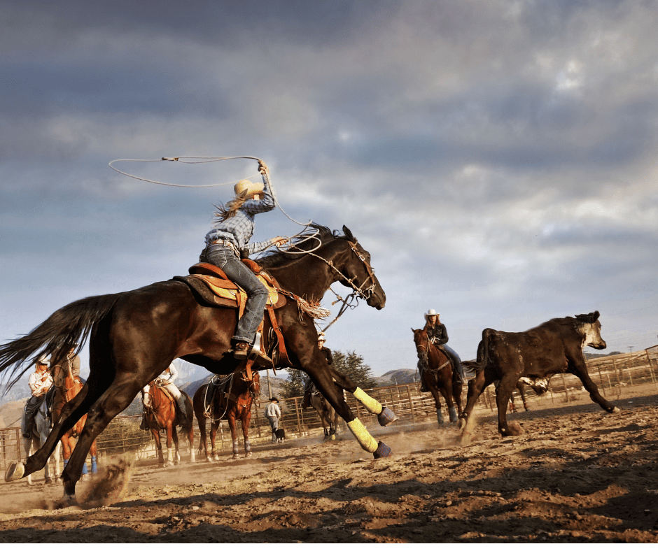 Stettler Ranch Rodeo July 16 @ 11:00am Enjoy a day of entertainment at the Stettler Ag Grounds! Obstacle Course | Penning | Sorting Trailer Loading | Doctoring Free Admission with a Donation to the Local Food Bank