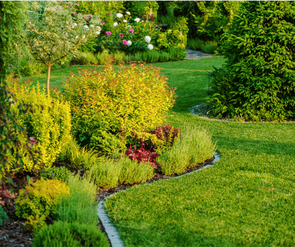 Stettler Garden Tour 2023 Friday, August 11 from 5p.m. to 8p.m.