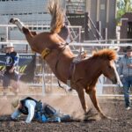 June 7 & 8, 2024 - Join us for two exhilarating evenings full of adrenaline pumping sport!Friday night will feature bulls, Saturday will be broncs.Each evenings event will be followed with a live band cabaret featuring Mitch Larock and the 4:54 Band