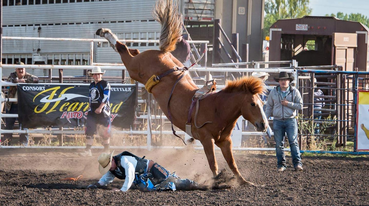 June 7 & 8, 2024 - Join us for two exhilarating evenings full of adrenaline pumping sport!Friday night will feature bulls, Saturday will be broncs.Each evenings event will be followed with a live band cabaret featuring Mitch Larock and the 4:54 Band