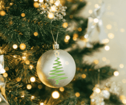 November 24 to November 28, 2026 at the Stettler Community Hall Silent Auction and Christmas Market Open to public for biding and shopping Tuesday to Thursday 12:00p.m. to 5:00p.m. and Friday from 10:00a.m. to 1:00p.m. (*Also open during all special events) Bidding closes November 27 at 1:00p.m. Admission by cash donation.