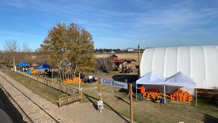 These trips last two plus (2+) hours, and travel to Alberta Prairie’s COUNTRY HIDEAWAY. In keeping with the season, guests are invited to join us on one of four special train experiences. Includes selecting very own pumpkin from our patch, a beef on bun or hot dog lunch, a beverage and cookie, family friendly activities such as rubber duck races, hayrides, barrel train, and much more. One of the feature attractions on this excursion is Finnegan Farms Petting Zoo. Be sure to check it out.
