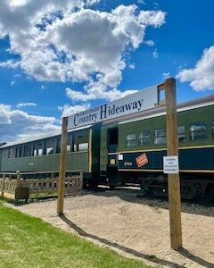 This trip lasts four (4.0) hours, and travels to Alberta Prairie’s COUNTRY HIDEAWAY and its beautiful natural park setting. Your fare includes an all-you-can-eat-buffet-style meal at the Hideaway featuring your choice of barbecued hamburger with all the trimmings and/or a deluxe hot dog lunch plus baked beans.