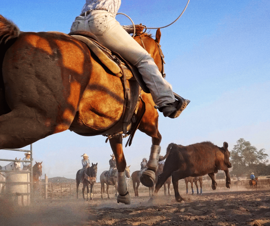 Join us at the Donalda Arena Ranch Rodeo on Saturday, June 14, 2025. A ranch rodeo is a traditional type of rodeo where teams of cowboys or cowgirls, typically ranch hands, compete in events based on skills used in everyday ranch work. These events often mimic real-life ranch tasks like cattle branding, roping, sorting, and penning. Contact Wendy for more information: 780-608-6511.