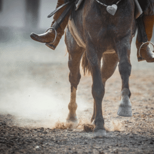 June 3rd to 8th help us welcome back the top 12 qualifiers in each district to the Alberta High School Rodeo Finals! June 3rd & 4th Working Cow Horse & Cutting -Indoor Arena June 4th & 5th Shooting Events - Diamond N & Stettler Trap Club June 6th, 7th & 8th Rodeo Performances start at 11AM - Outdoor Arena Swing by and check out all of the action admission is free!