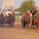 Bashaw & District Ag Society presents the Buffalo Lake Stampede June 12th to June 15th!