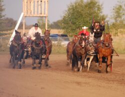 Bashaw & District Ag Society presents the Buffalo Lake Stampede June 12th to June 15th!