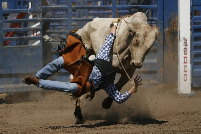 August 23, 2025 - Halkirk Rodeo Grounds 4:00p.m. - Gates Open 4:30p.m. - Kids events and beer gardens open 5:00p.m. - Opening ceremonies, ranch bronc riding & bull riding 9:00p.m. - Dance Dusk - Fireworks Admission: $20 per adult (16+) $5 per youth (12-15) Free for children (11 & under) Concession & food trucks available available. Camping and fireworks provided and monitored by the Village of Halkirk.