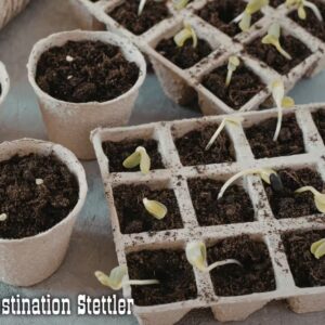 Spring Plant Exchange Saturday, May 9 from 11a.m. to 1p.m. at the Stettler Agriplex (In conjuction with the Homestead Market) Bring perennial plants or seeds to exhange freely. Brought to you by Heartland Beautification Committee and Stettler Blooms!