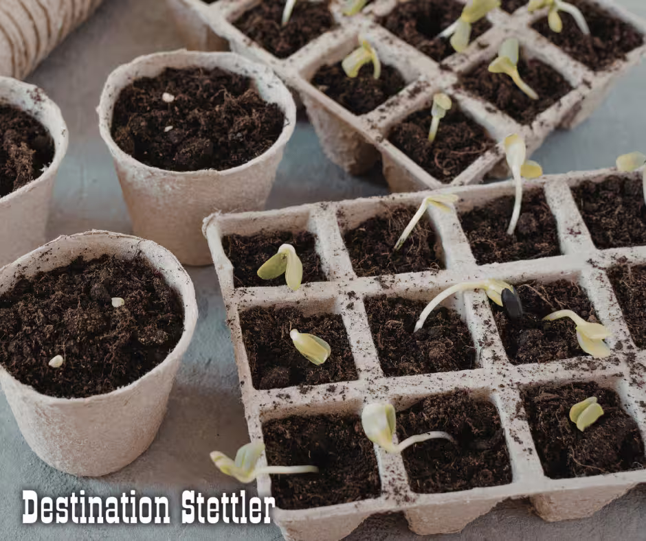 Spring Plant Exchange Saturday, May 9 from 11a.m. to 1p.m. at the Stettler Agriplex (In conjuction with the Homestead Market) Bring perennial plants or seeds to exhange freely. Brought to you by Heartland Beautification Committee and Stettler Blooms!