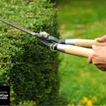 Pointers on tools and maintenance from yard keepers! Sunday, May 24 2:00p.m. to 4:00p.m. at Stettler Museum Drop in - $5/session or enjoy all the Garden Club sessions for $50/year Call for more details - 403-742-4534