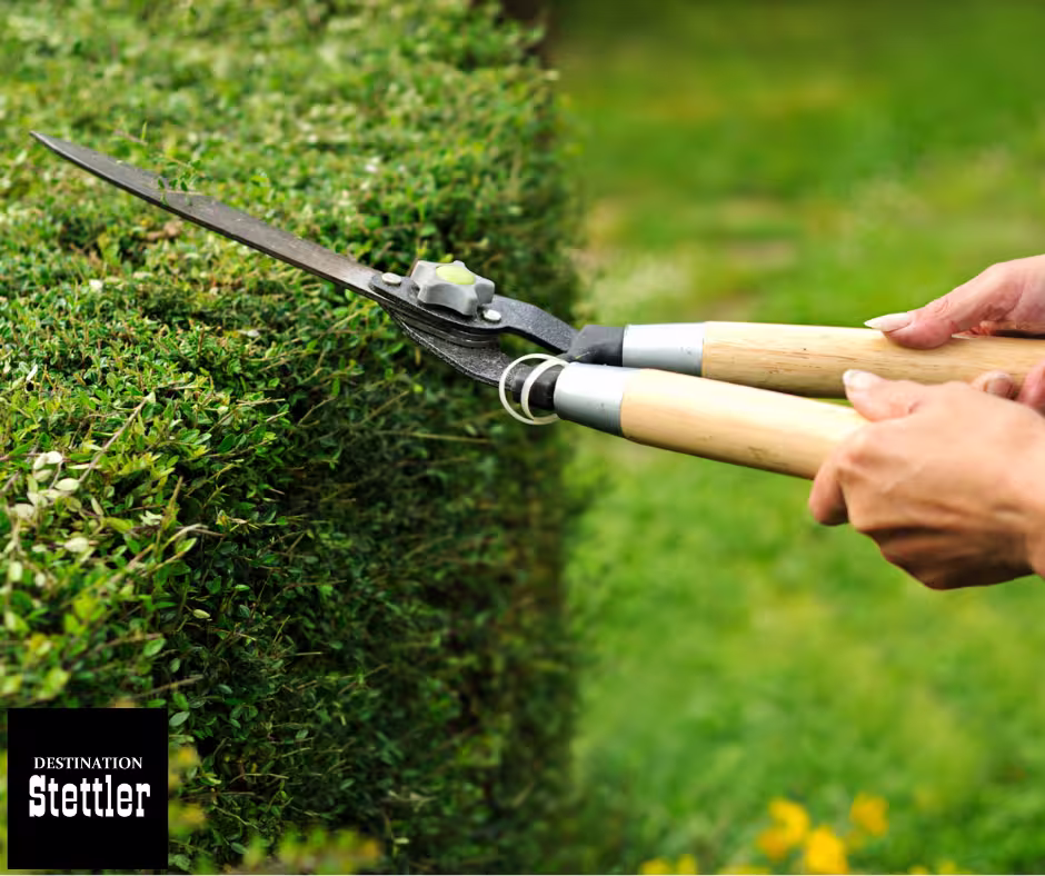 Pointers on tools and maintenance from yard keepers! Sunday, May 24 2:00p.m. to 4:00p.m. at Stettler Museum Drop in - $5/session or enjoy all the Garden Club sessions for $50/year Call for more details - 403-742-4534