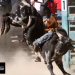 August 22 at the Halkirk Rodeo Grounds Admission: Adults (16+) - $20 Youth (12 -15) - $5  Children (11 and under) - FREE 3:00p.m. Gates & Beer Garden Open 4:00p.m. - Kids events 5:00p.m. - Opening ceremonies, ranch bronc riding & bull riding 9:00p.m. - Dance Concession available at 3:30p.m. Fireworks at dusk by Prairie Thunder Sponsored by: Capital Power, Transalta and CAPE Manufacturing