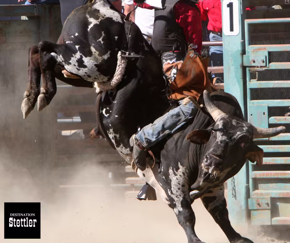 August 22 at the Halkirk Rodeo Grounds Admission: Adults (16+) - $20 Youth (12 -15) - $5  Children (11 and under) - FREE 3:00p.m. Gates & Beer Garden Open 4:00p.m. - Kids events 5:00p.m. - Opening ceremonies, ranch bronc riding & bull riding 9:00p.m. - Dance Concession available at 3:30p.m. Fireworks at dusk by Prairie Thunder Sponsored by: Capital Power, Transalta and CAPE Manufacturing