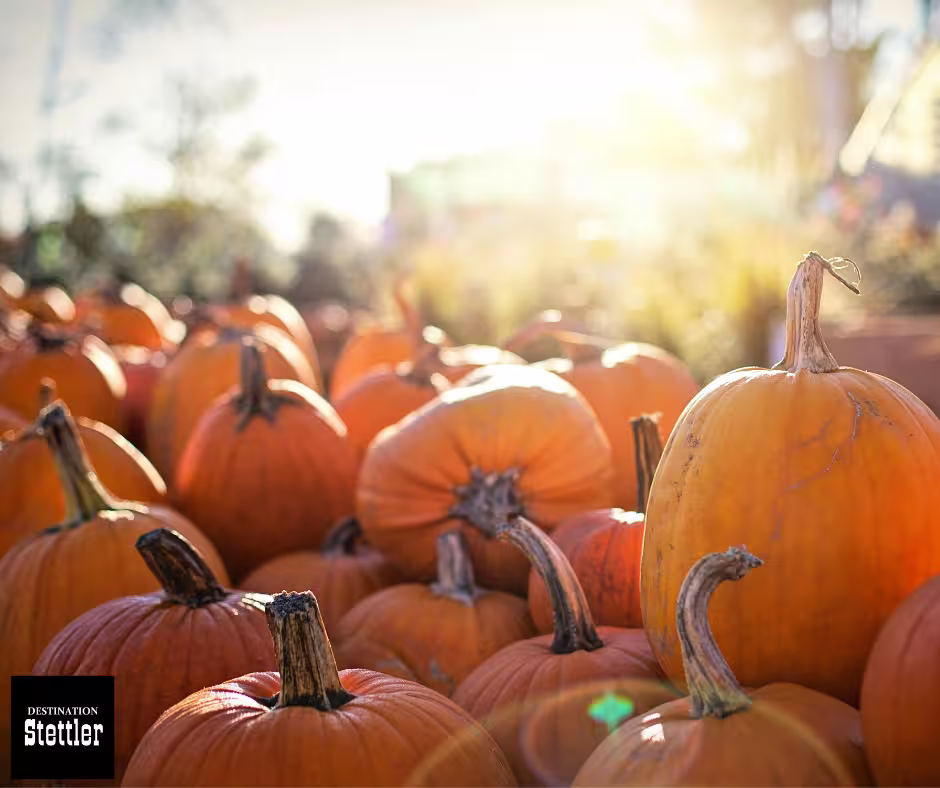 Two Fall Weekends of Family Fun! Saturday, September 19 - 12pm to 9pm Sunday, September 20 - 9am to 4:30pm Saturday, September 26 - 12pm to 9pm Saturday, September 27 - 9am to 4:30pm Gate in the Orchard - Gate Fee: $20/car (Face painting included)